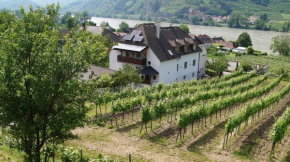 Weinbau und Gästezimmer Pammer